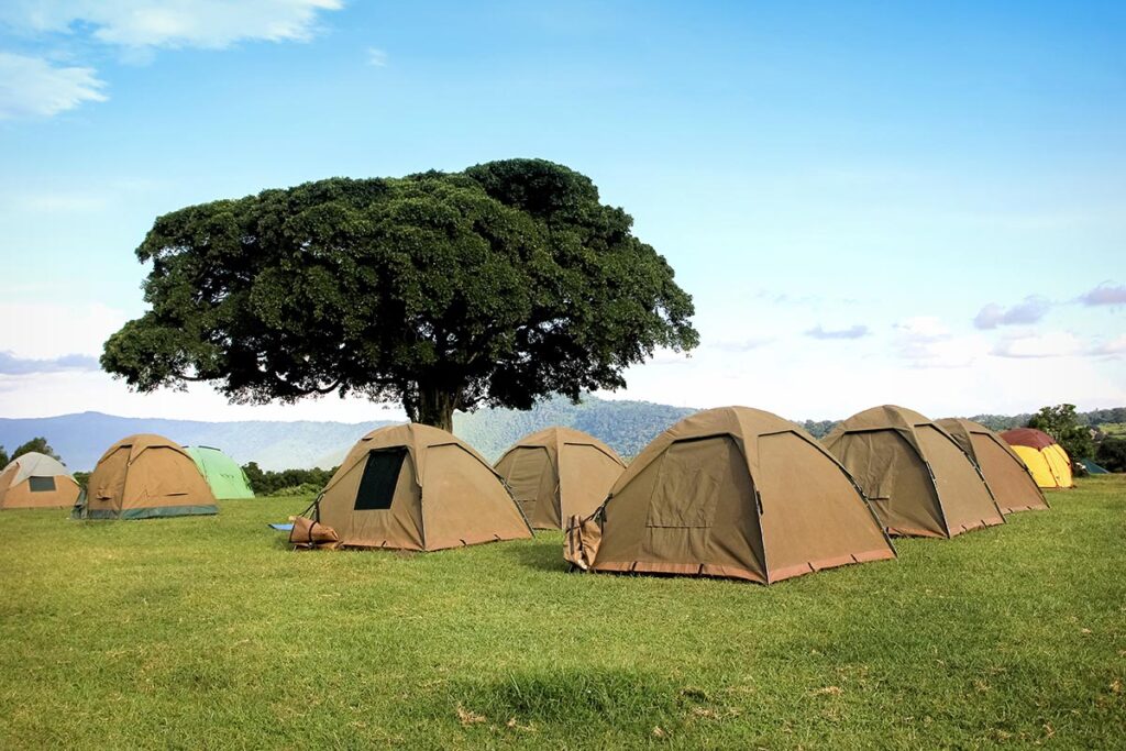 Tanzania Camping safari

