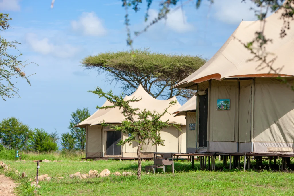 Tanzania Luxury camping safari