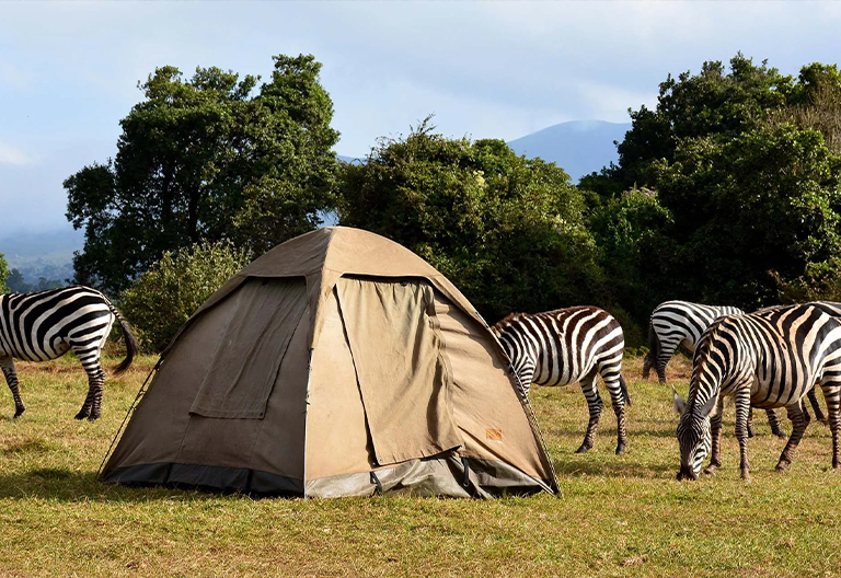 Tanzania Camping Safari